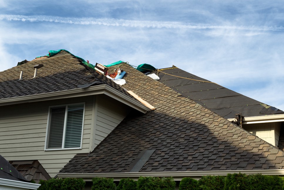 check asphalt shingle roof